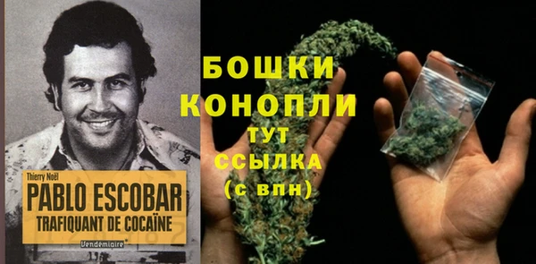 ПСИЛОЦИБИНОВЫЕ ГРИБЫ Армянск