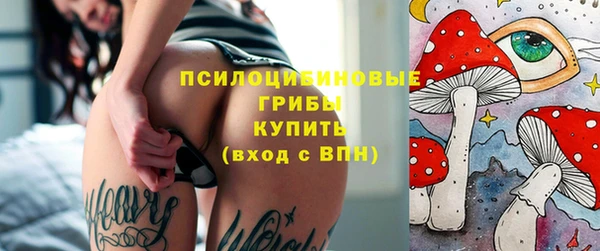 PSILOCYBIN Саяногорск