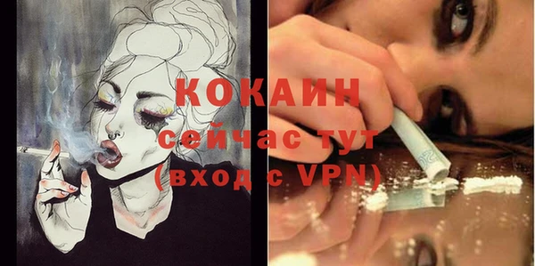 кокс Арсеньев